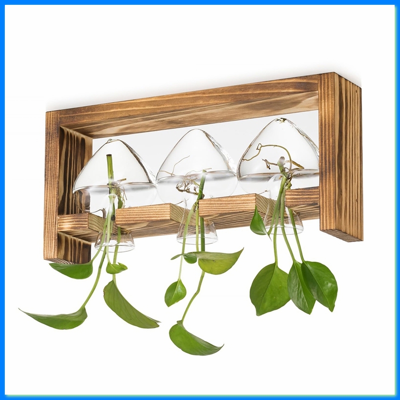 Propagation Station Vase - Glas-Pflanzenzuchtstation: Vintage-Vasen-Dekoration mit Holzrahmen-Set für Wohnzimmer,