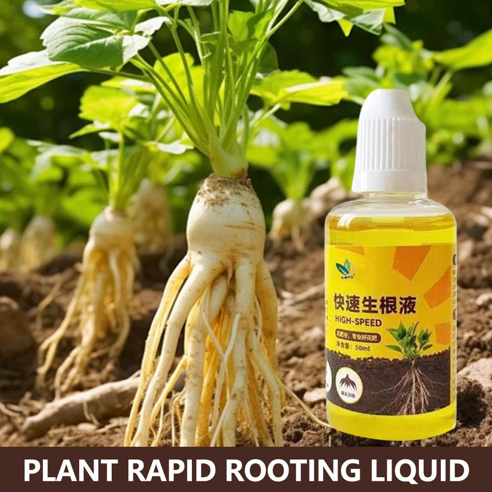 Root Stimulator Liquid - Grüne Pflanze Wurzel Stimulator Flüssigkeit Schneiden