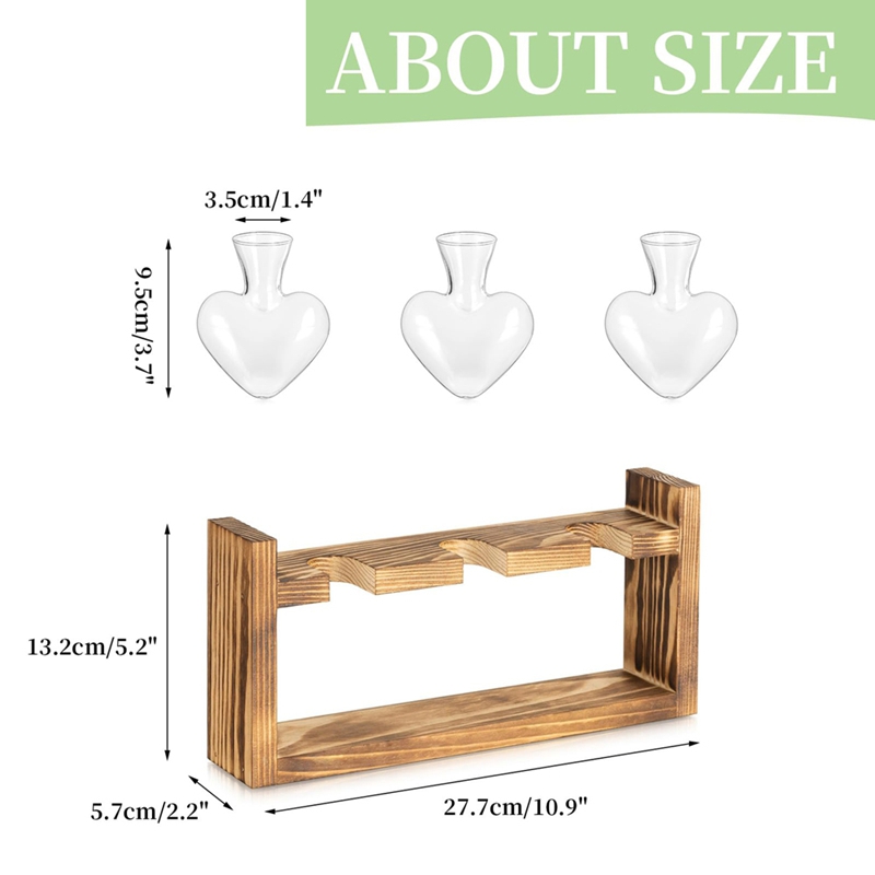 Glas-Pflanzenzuchtstation: Vin – Propagation Station Vase Bewertung und Preis