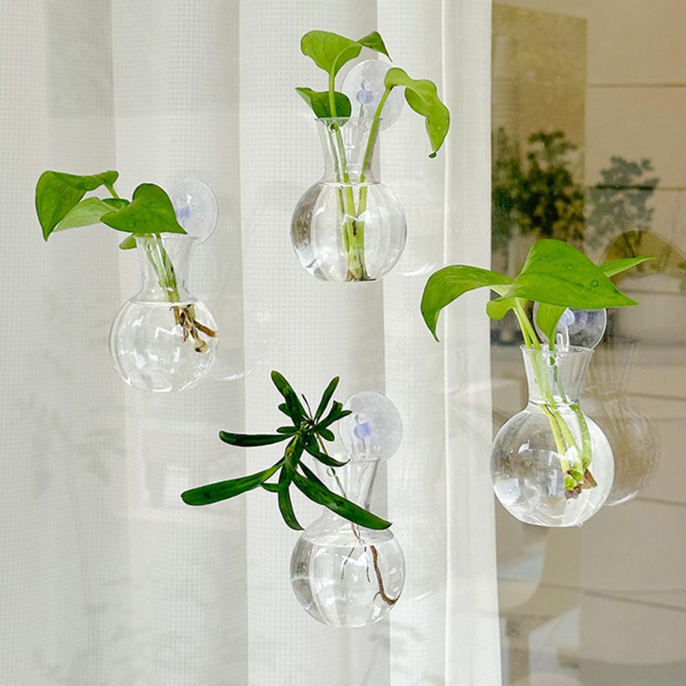 Fensterpflanzgefäß, Fensterpfl – Propagation Station Vase Bewertung und Preis