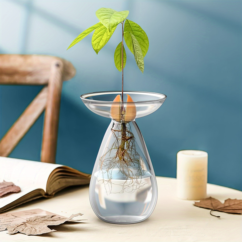Avocado-Samen-Starter-Vase Tra – Propagation Station Vase Bewertung und Preis