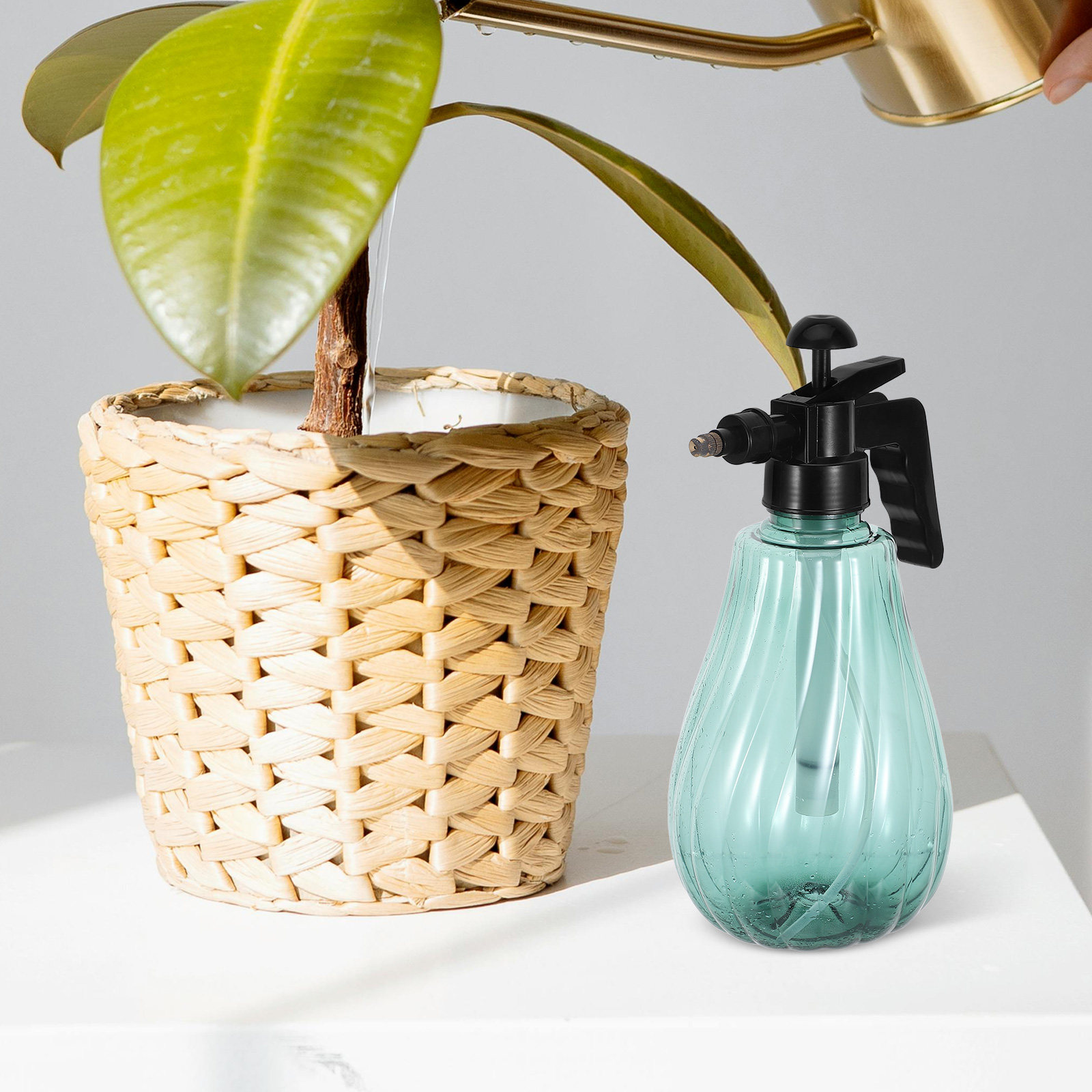Handgehaltener Haustier-Badesp – Misting Bottle Fine Bewertung und Preis