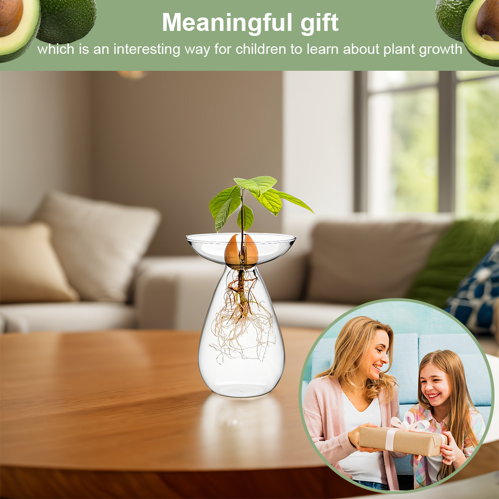 Avocado-Samen-Startervase, tra – Propagation Station Vase Bewertung und Preis